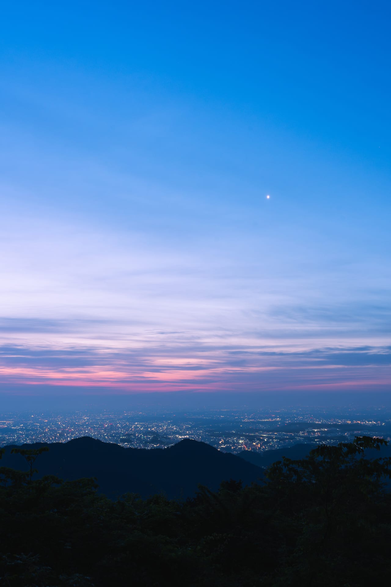 可惜夜の夢