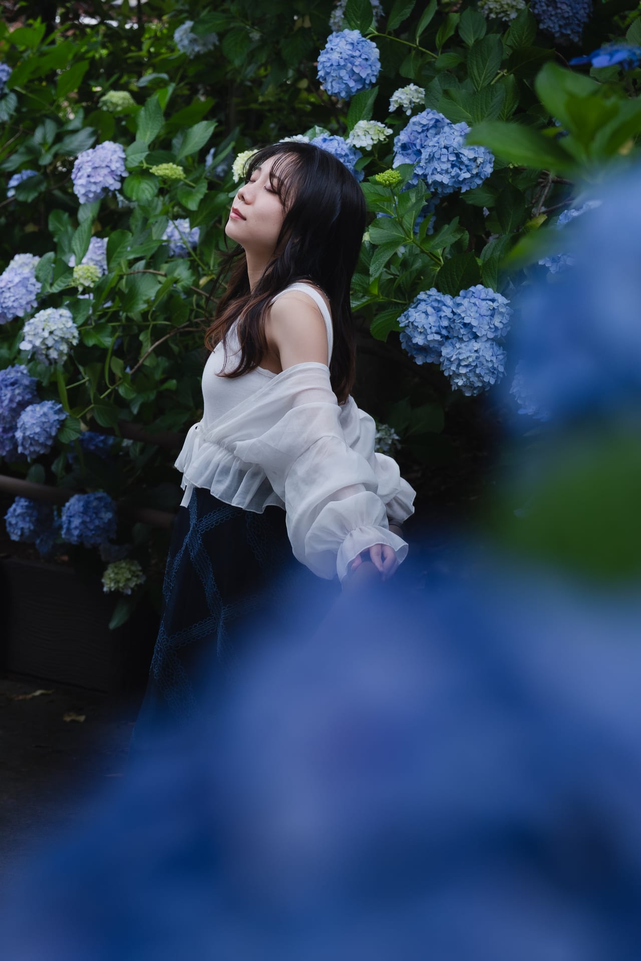 紫陽花にまどろむ