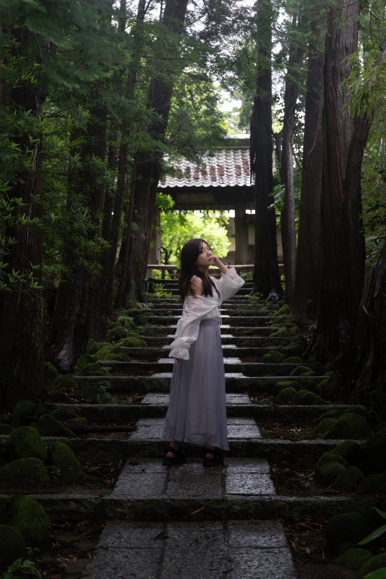 苔の石段