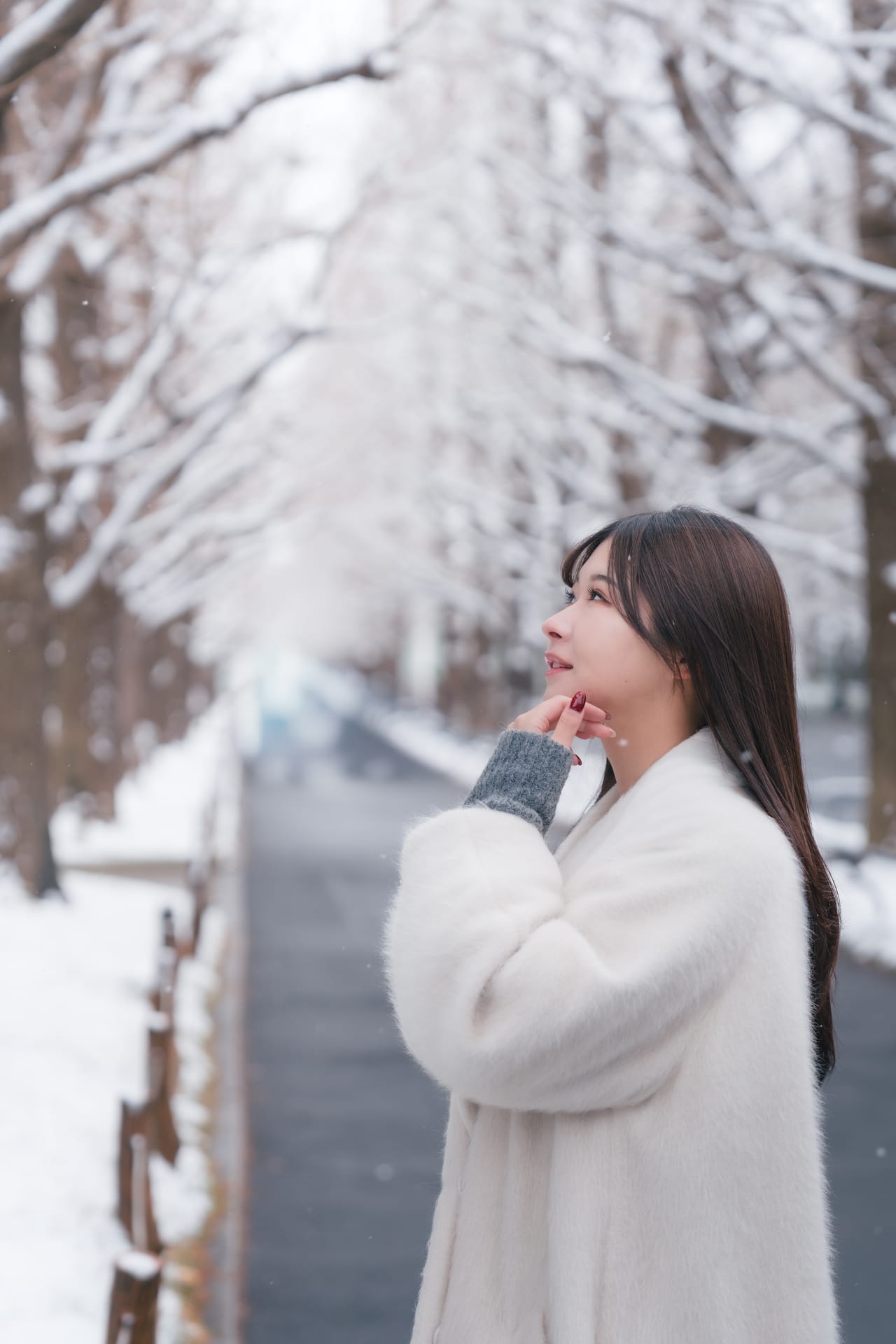 雪景色の情